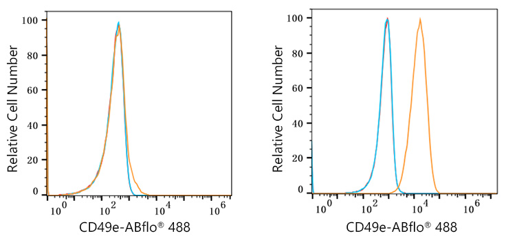 ABflo® 488 Rabbit anti-Human/Mouse Integrin alpha 5 (ITGA5/CD49e) mAb