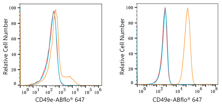 ABflo® 647 Rabbit anti-Human/Mouse Integrin alpha 5 (ITGA5/CD49e) mAb