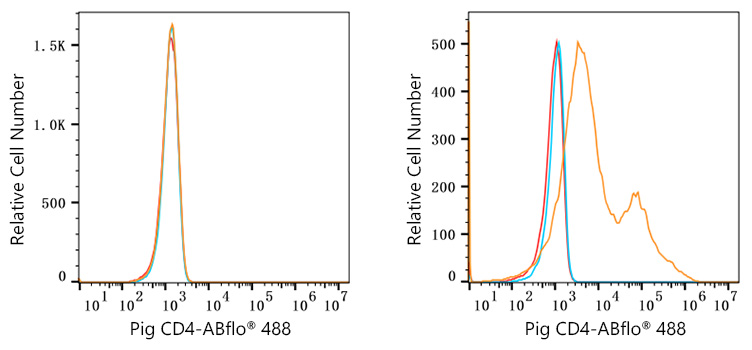 ABflo® 488 Rabbit anti-Pig CD4 mAb