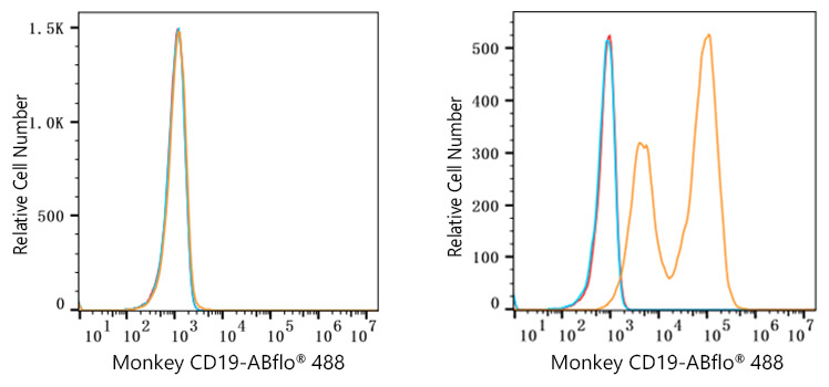 ABflo® 488 Rabbit anti-Human/Monkey CD19 mAb