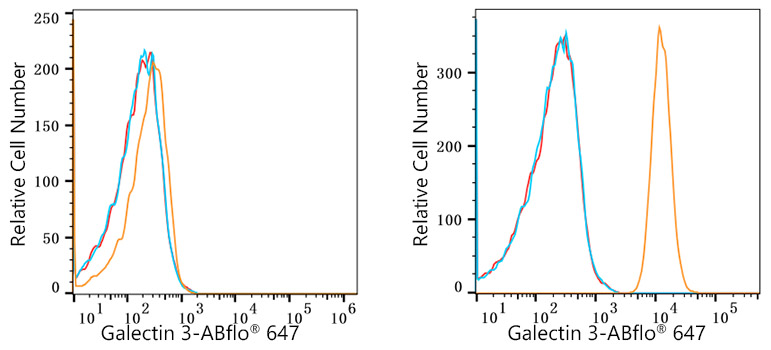 ABflo® 647 Rabbit anti-Human Galectin 3 mAb