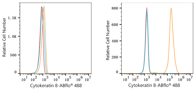 ABflo® 488 Rabbit anti-Human Cytokeratin 8 mAb