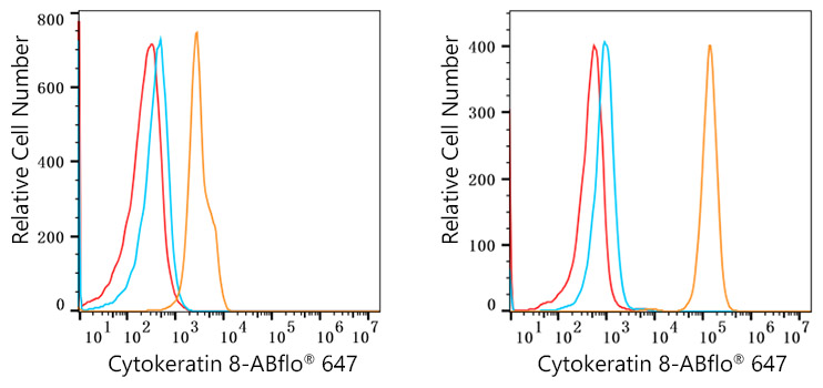 ABflo® 647 Rabbit anti-Human Cytokeratin 8 mAb