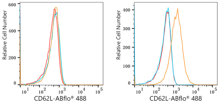 ABflo® 488 Rabbit anti-Human CD62L/L-Selectin mAb