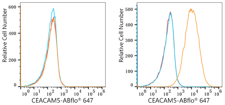 ABflo® 647 Rabbit anti-Human CEACAM5/CD66e mAb