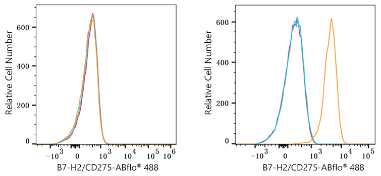 ABflo® 488 Rabbit anti-Human B7-H2/CD275 mAb