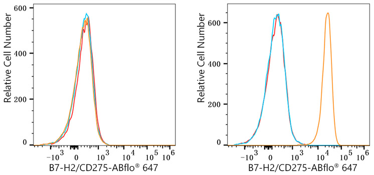 ABflo® 647 Rabbit anti-Human B7-H2/CD275 mAb