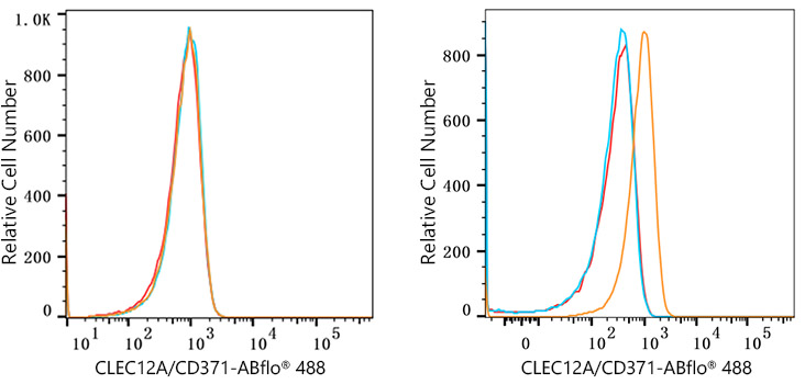 ABflo® 488 Rabbit anti-Human CLEC12A/CD371 mAb