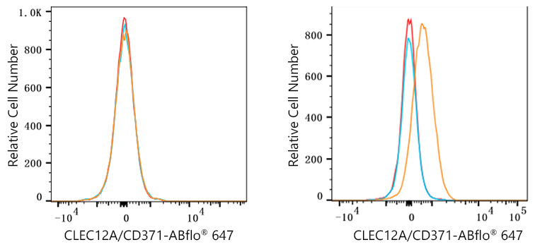 ABflo® 647 Rabbit anti-Human CLEC12A/CD371 mAb