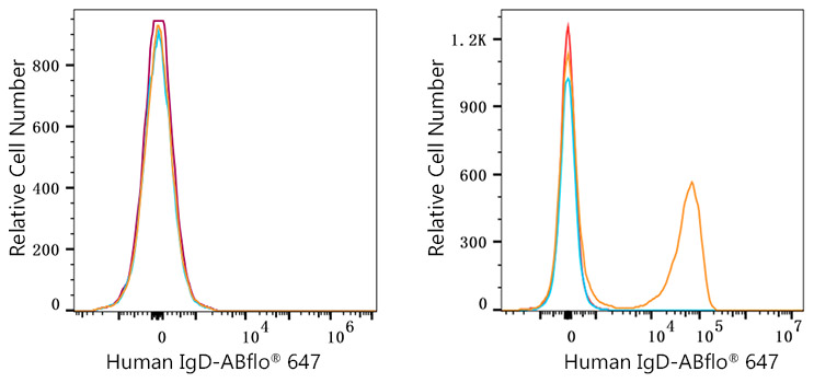 ABflo® 647 Rabbit anti-Human IgD mAb