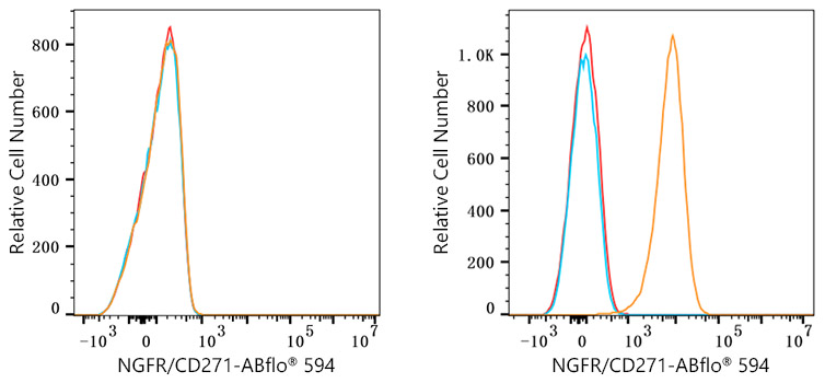 ABflo® 594 Rabbit anti-Human CD271/NGFR mAb