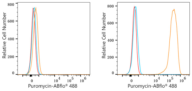 ABflo® 488 Rabbit anti-puromycin mAb