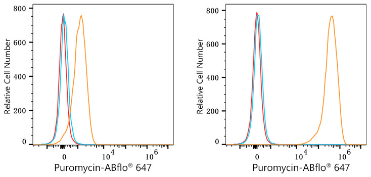 ABflo® 647 Rabbit anti-puromycin mAb