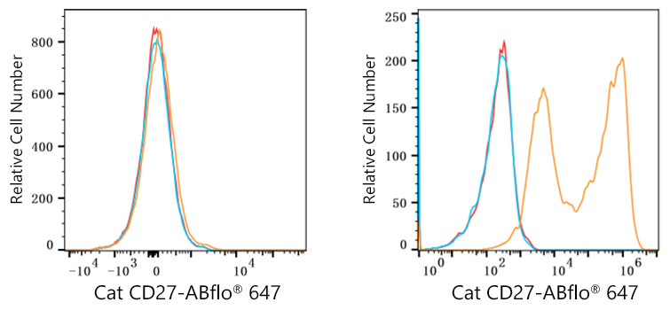 ABflo® 647 Rabbit anti-Cat CD27 mAb