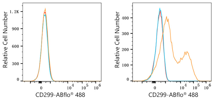 ABflo® 488 Rabbit anti-Human DC-SIGNR/CD299 mAb