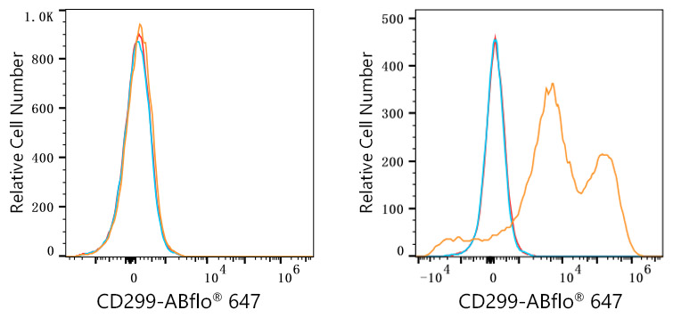 ABflo® 647 Rabbit anti-Human DC-SIGNR/CD299 mAb