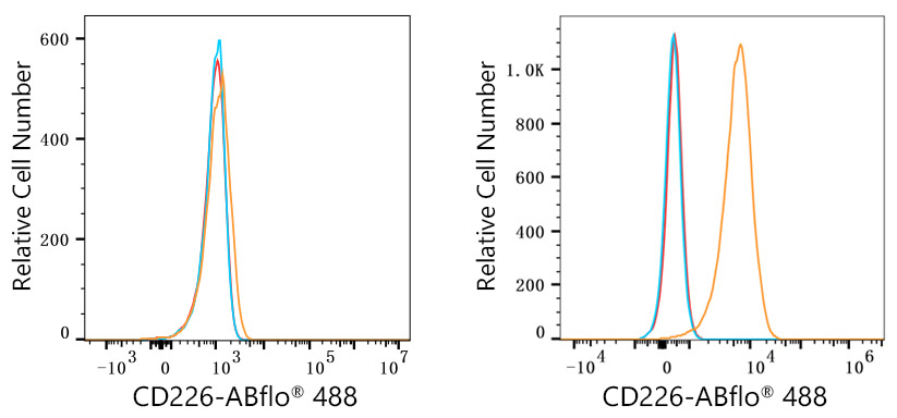 ABflo® 488 Rabbit anti-Human CD226/DNAM-1 mAb