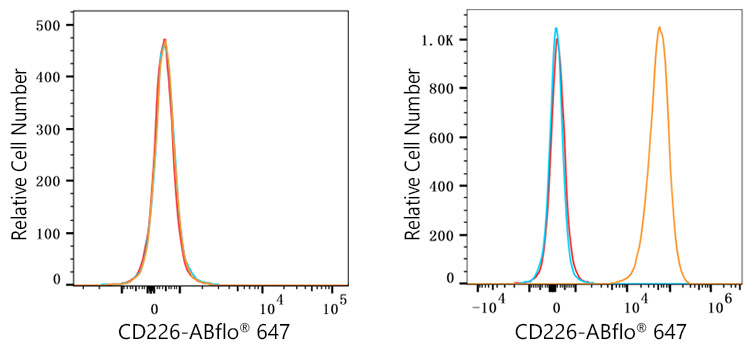 ABflo® 647 Rabbit anti-Human CD226/DNAM-1 mAb