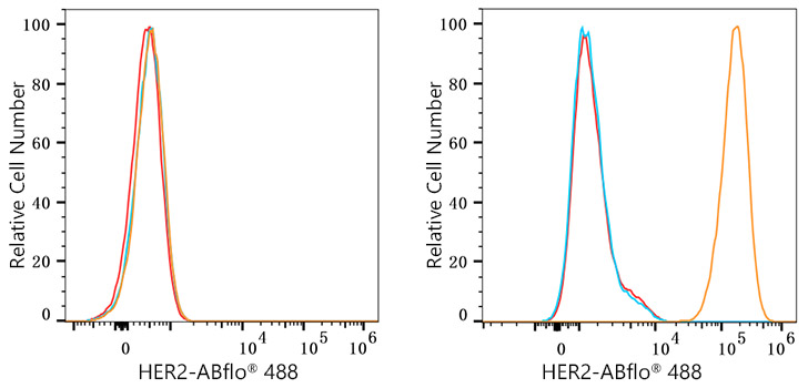 ABflo® 488 Rabbit anti-Human HER2/ErbB2 mAb