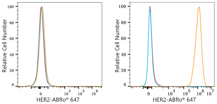 ABflo® 647 Rabbit anti-Human HER2/ErbB2 mAb