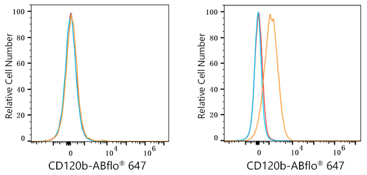 ABflo® 647 Rabbit anti-Human CD120b/TNFRSF1B mAb