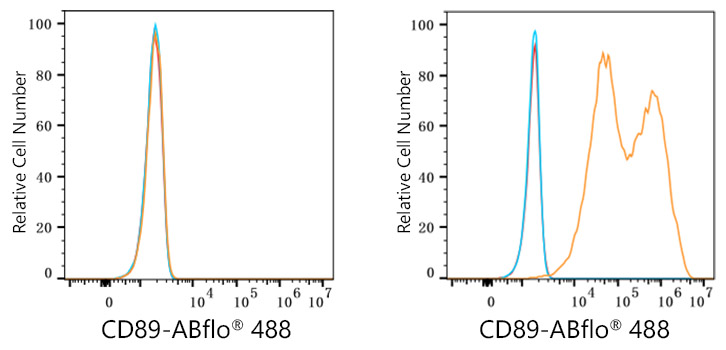 ABflo® 488 Rabbit anti-Human CD89 mAb