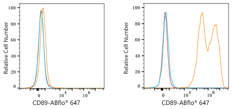 ABflo® 647 Rabbit anti-Human CD89 mAb