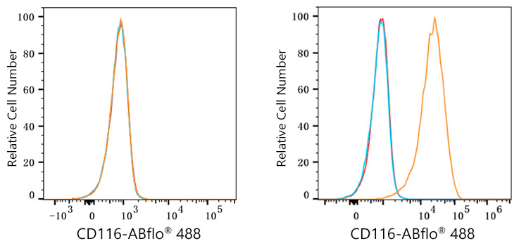 ABflo® 488 Rabbit anti-Human CD116 mAb