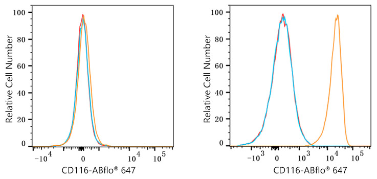 ABflo® 647 Rabbit anti-Human CD116 mAb