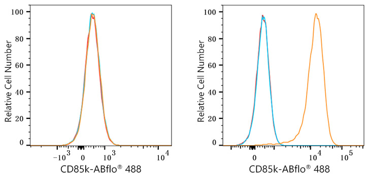 ABflo® 488 Rabbit anti-Human LILRB4/CD85k/ILT3 mAb