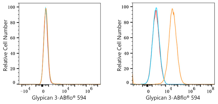 ABflo® 594 Rabbit anti-Human Glypican 3 (GPC3) mAb