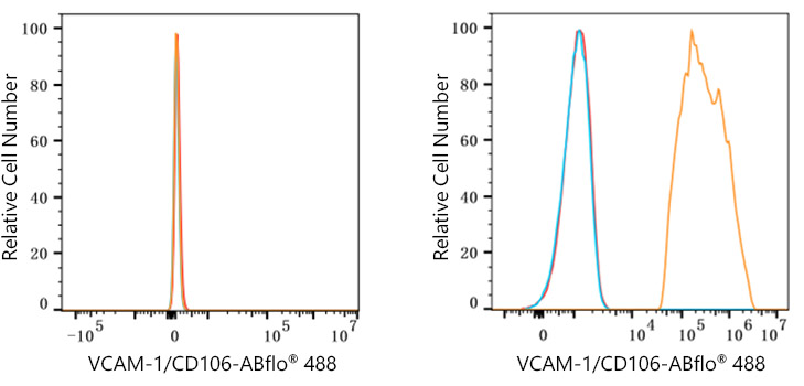 ABflo® 488 Rabbit anti-Human VCAM-1/CD106 mAb