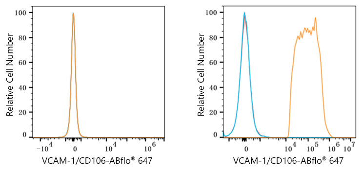 ABflo® 647 Rabbit anti-Human VCAM-1/CD106 mAb