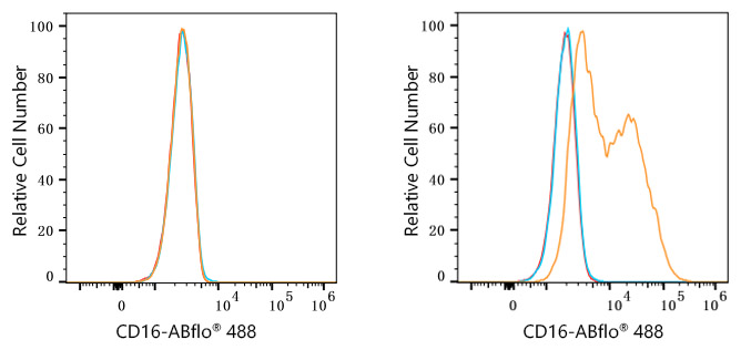 ABflo® 488 Rabbit anti-Human CD16 mAb