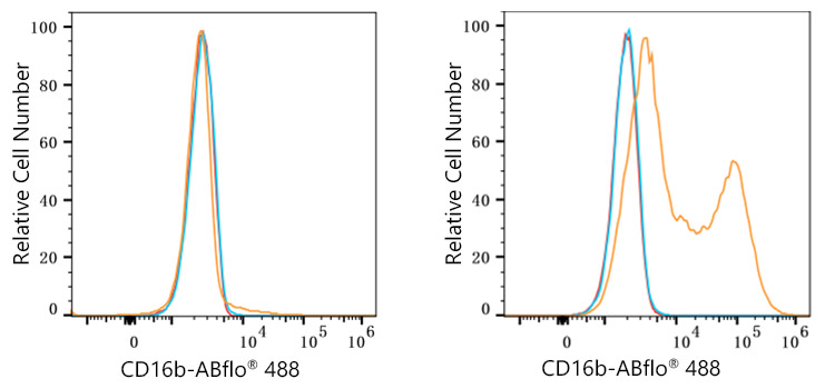 ABflo® 488 Rabbit anti-Human CD16b mAb