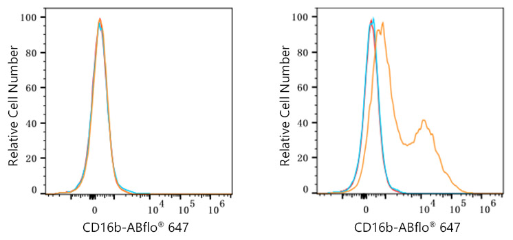 ABflo® 647 Rabbit anti-Human CD16b mAb