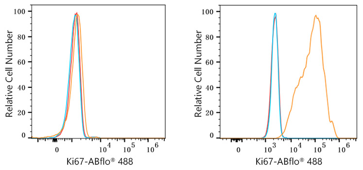 ABflo® 488 Rabbit anti-Human Ki67 mAb