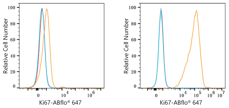 ABflo® 647 Rabbit anti-Human Ki67 mAb