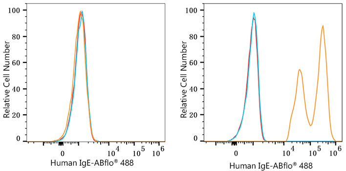 ABflo® 488 Rabbit anti-Human IgE mAb