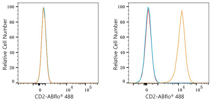 ABflo® 488 Rabbit anti-Mouse CD2 mAb