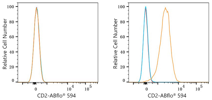 ABflo® 594 Rabbit anti-Mouse CD2 mAb