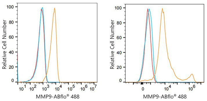 ABflo® 488 Rabbit anti-Human MMP9 mAb