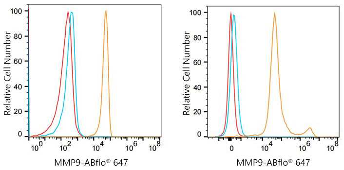 ABflo® 647 Rabbit anti-Human MMP9 mAb