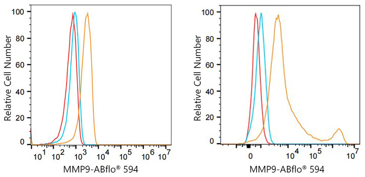 ABflo® 594 Rabbit anti-Human MMP9 mAb