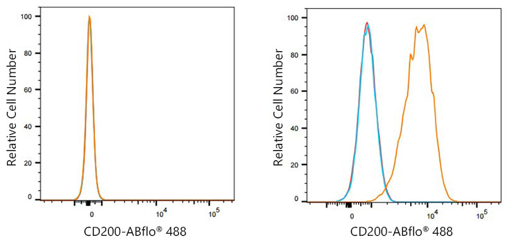 ABflo® 488 Rabbit anti-Human CD200/OX2 mAb