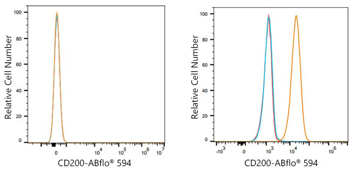 ABflo® 594 Rabbit anti-Human CD200/OX2 mAb