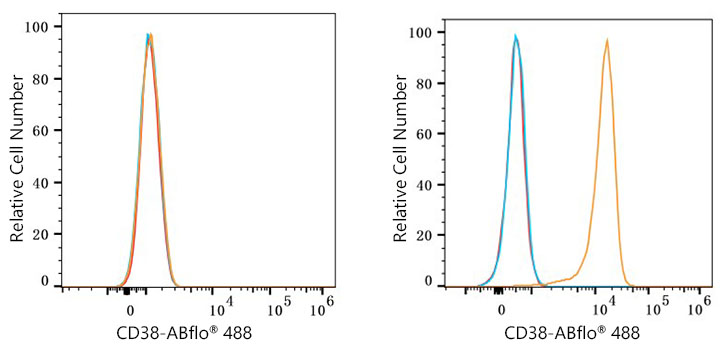 ABflo® 488 Rabbit anti-Human CD38 mAb