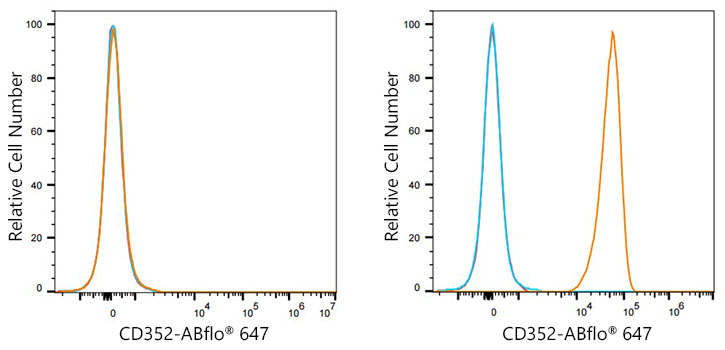 ABflo® 647 Rabbit anti-Human CD352/SLAMF6 mAb