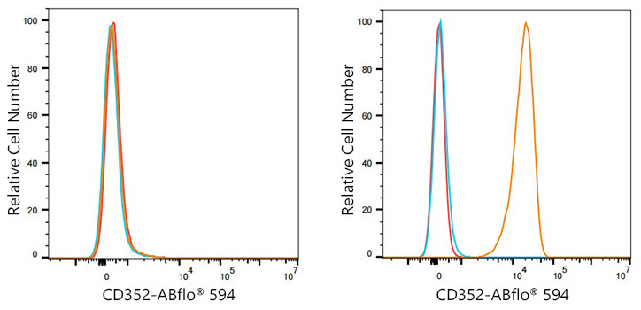 ABflo® 594 Rabbit anti-Human CD352/SLAMF6 mAb