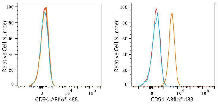 ABflo® 488 Rabbit anti-Human CD94 mAb